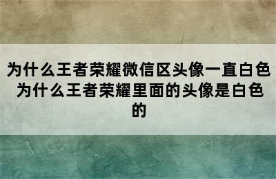 为什么王者荣耀微信区头像一直白色 为什么王者荣耀里面的头像是白色的